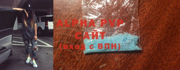 хмурый Белокуриха