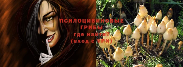 меф Богородицк
