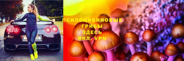 меф Богородицк